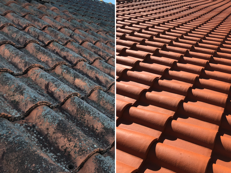 Démoussage tuiles romaines avant/après